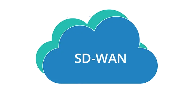 SD-WAN弹性网络