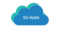 SD-WAN弹性网络